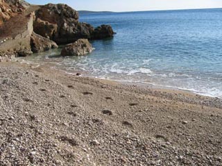 Insel Hvar, Apartments_Pension_Petrovac_Strand